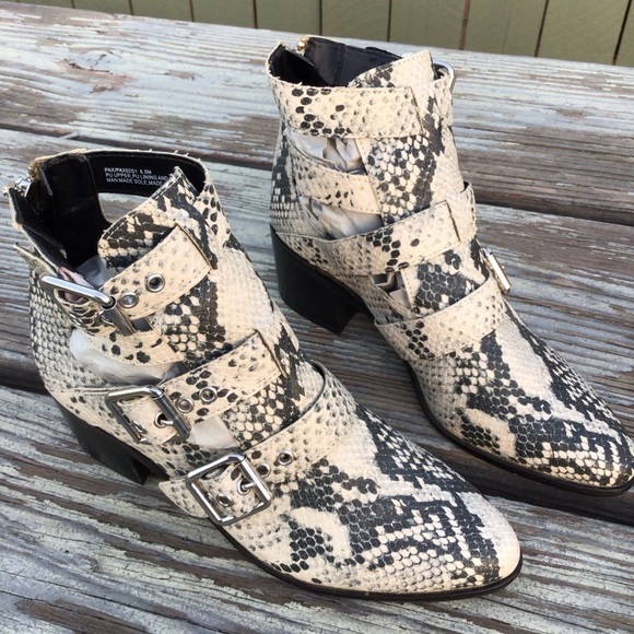 Steven Steve Madden Harmon Booties Women 6.5M Snakeskin 3 Buckle Strap Pointed - Picture 1 of 11